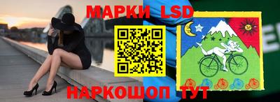 гидра Заводоуковск