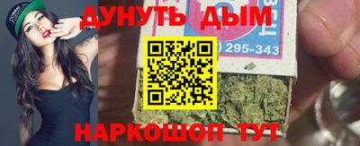 гидра Заводоуковск